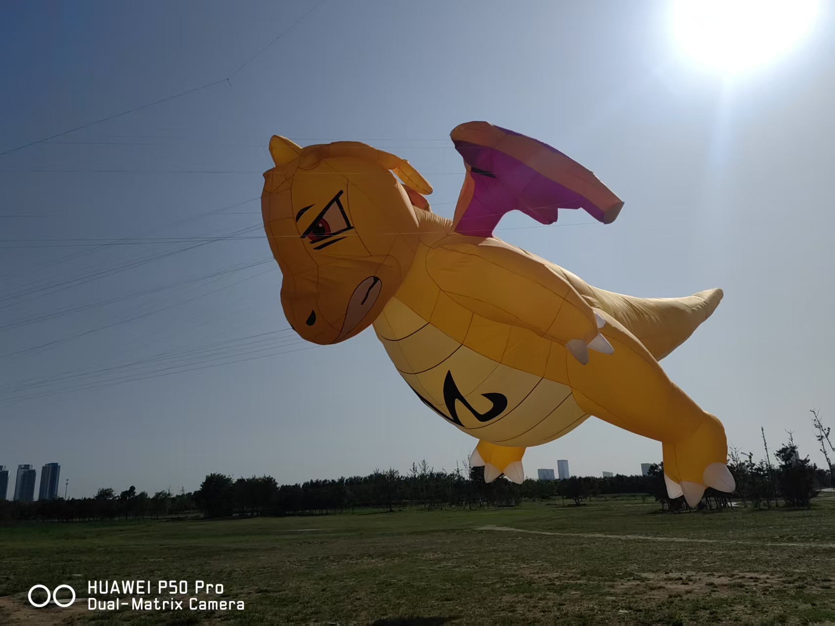 鹤岗市风筝制作宣传风筝定制 - 哪里好