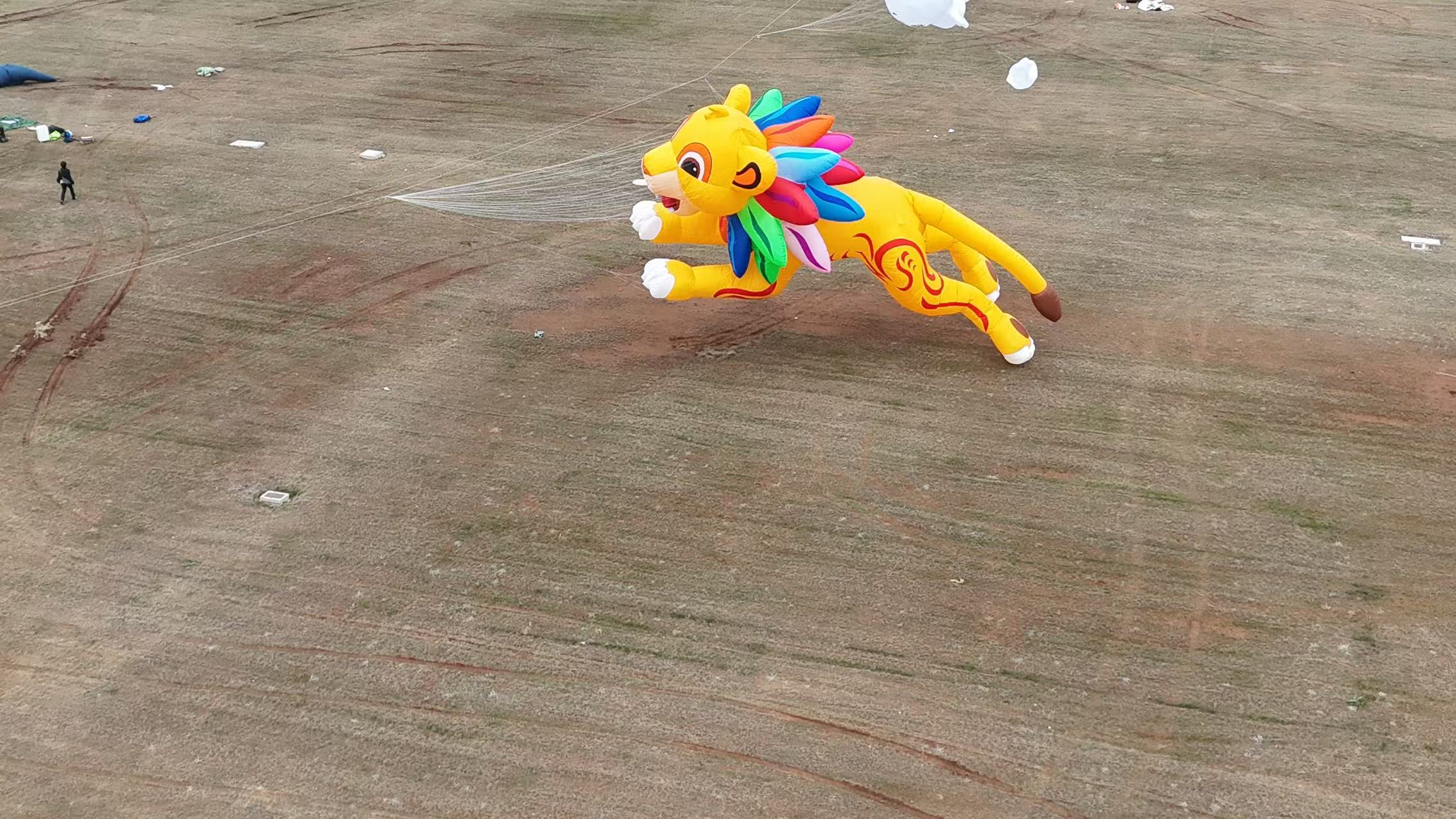 鹤岗市品牌风筝定制风筝放飞活动策划 - 排名