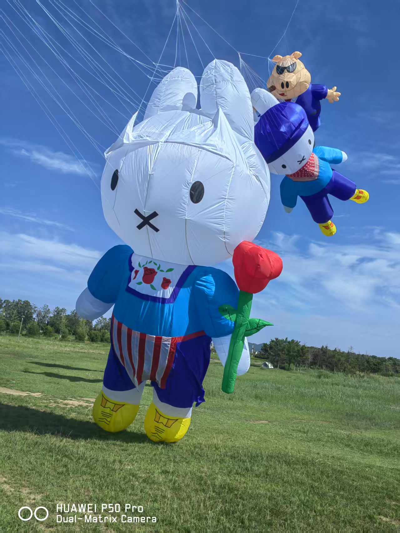 鹤岗市儿童风筝定制风筝制作 - 价格