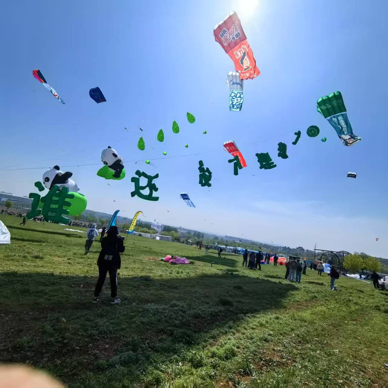鹤岗市风筝商业放飞风筝定制 - 价格